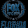 FOX SPORTS FLORIDA HD [USA] logo