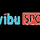 TIVIBUSPOR 4 4K [TR] logo