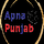 APNAPUNJAB [PUNJABI] logo