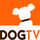PT| DOG TV HD logo