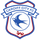 L1 | CARDIFF CITY logo