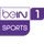 BEIN SPORTS 1 480 logo