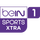 BEIN SPORTS XTRA 1 480 logo