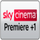 PREMIERE CLUBES HD [BR] logo