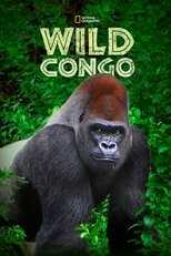 NL - WILD CONGO 3