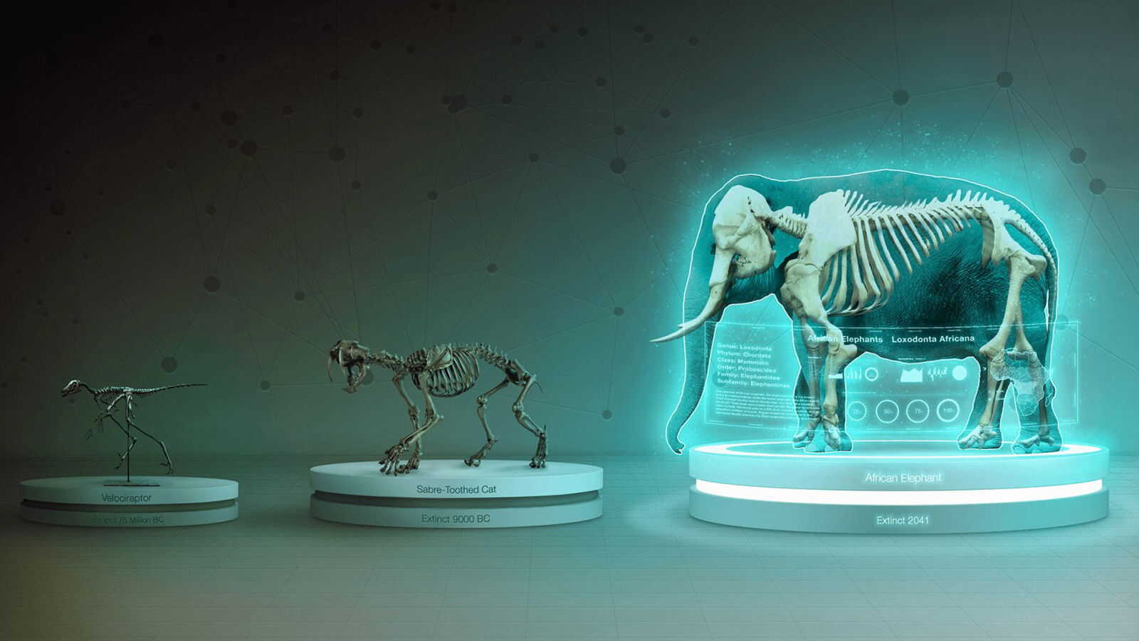 EN - Endlings (2020) 2