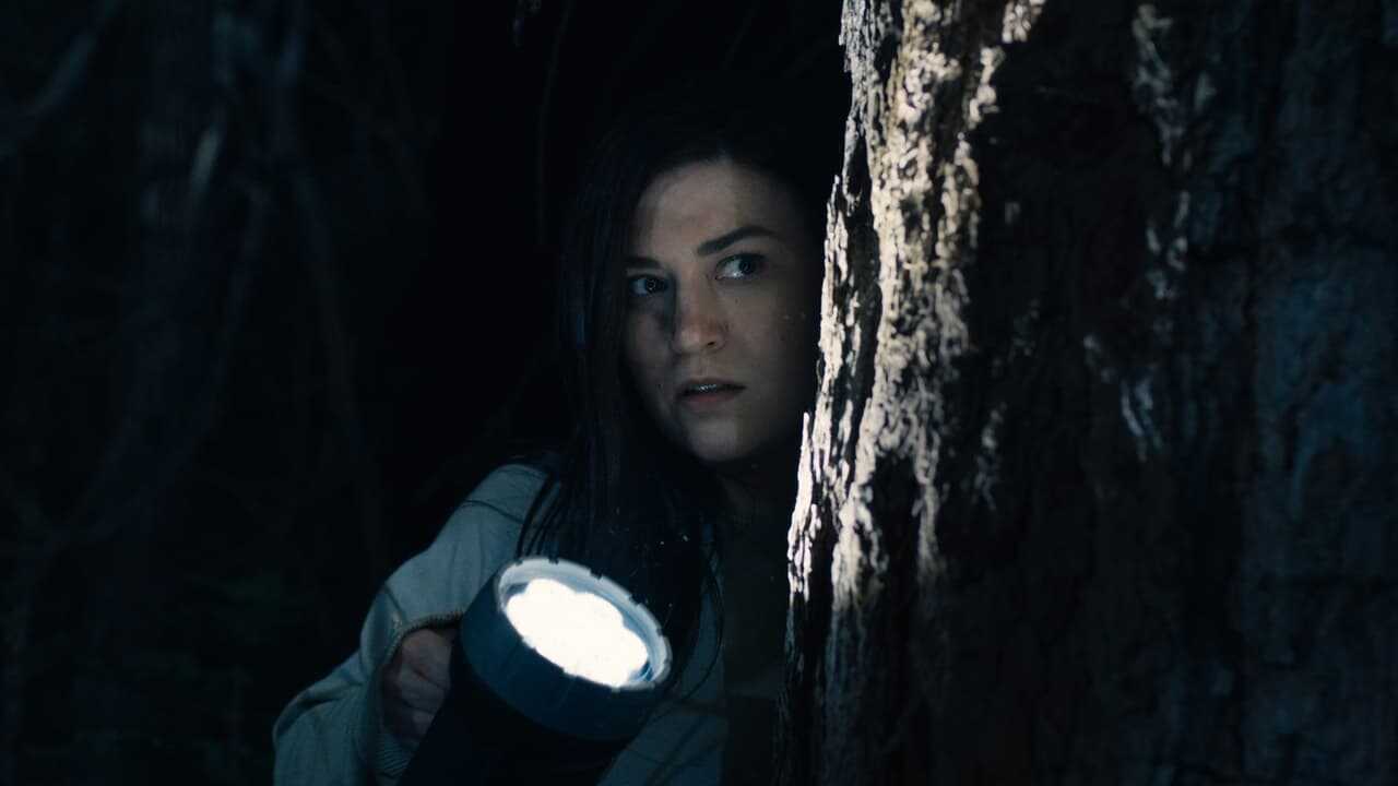 Stranger in the Woods 0