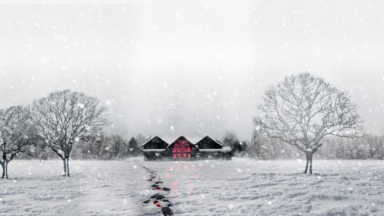 Snow Falls 0