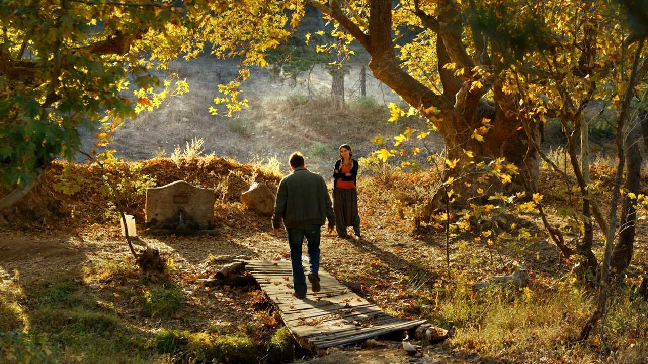 Ahlat Ağacı 0