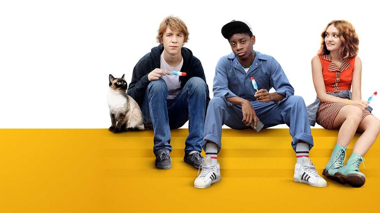 Me and Earl and the Dying Girl (2015) 0
