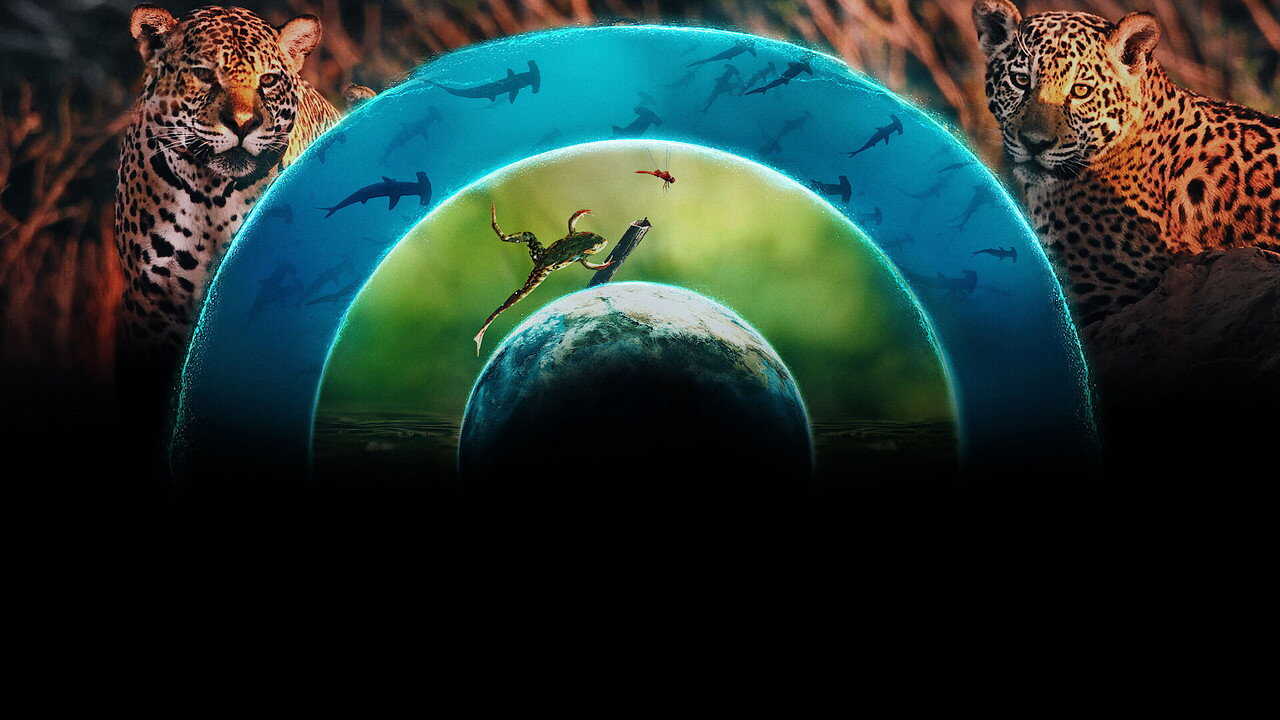 ES - Nuestro mundo lleno de vida 4