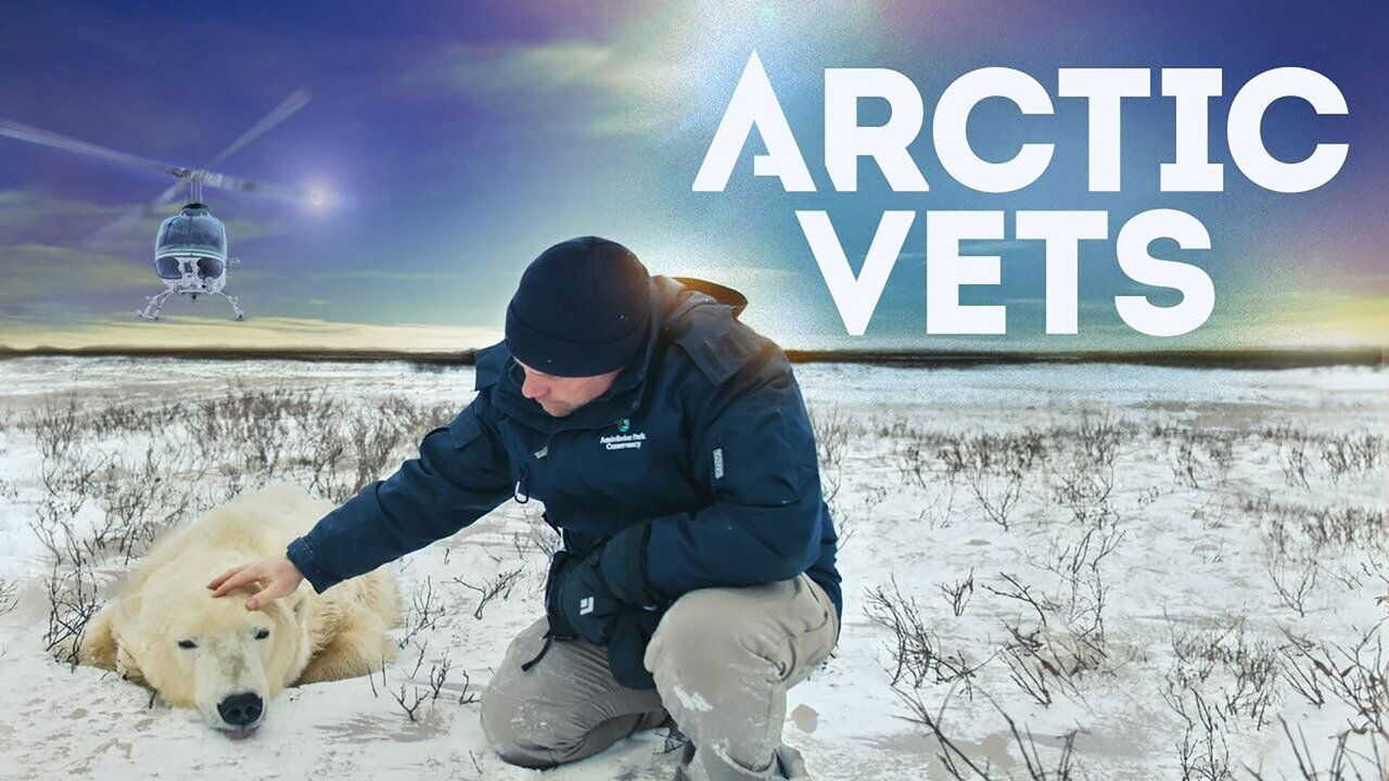 FR - Vétérinaires de l'Arctique 0