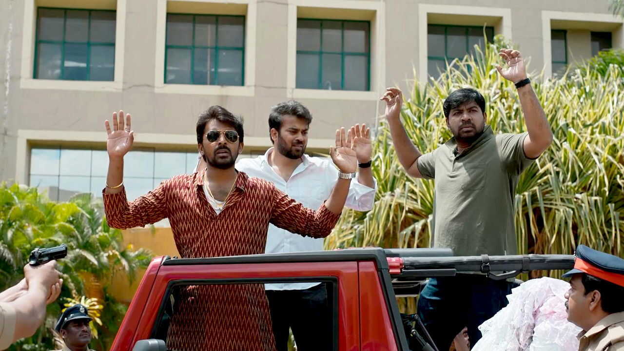 IN - Save the Tigers (2023) 1