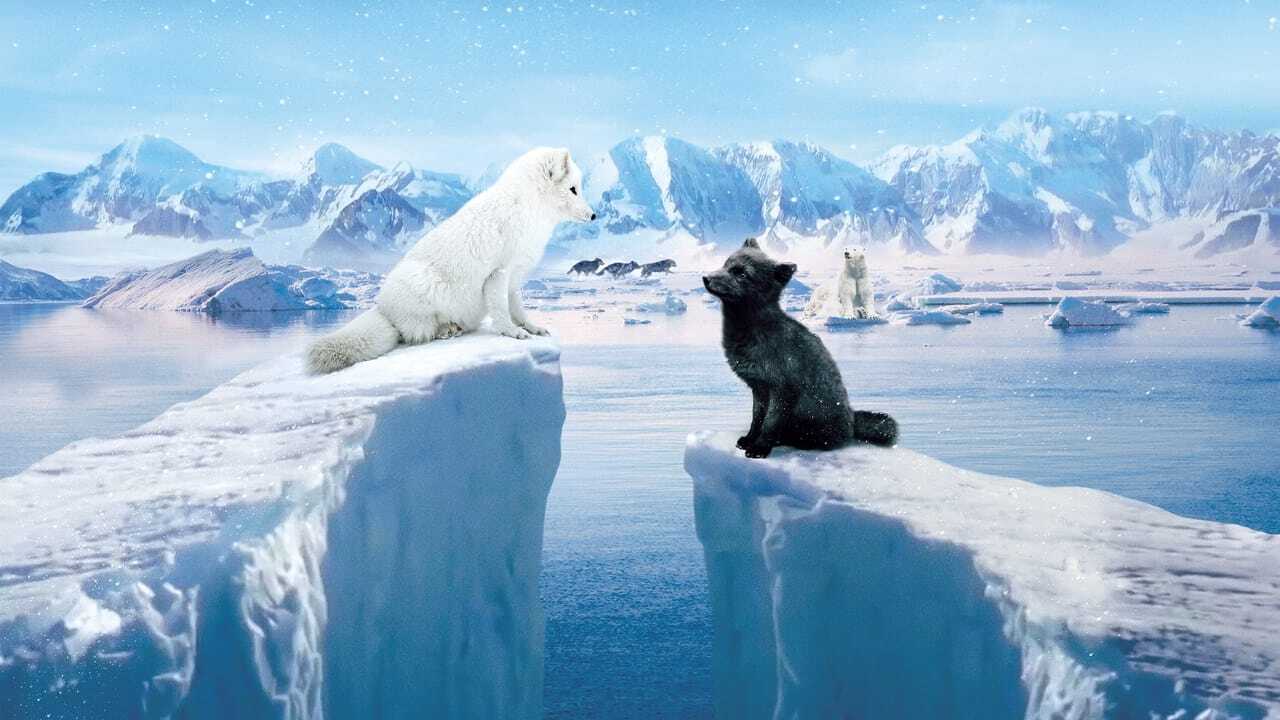 Kina & Yuk: Renards de la banquise (2023) 0