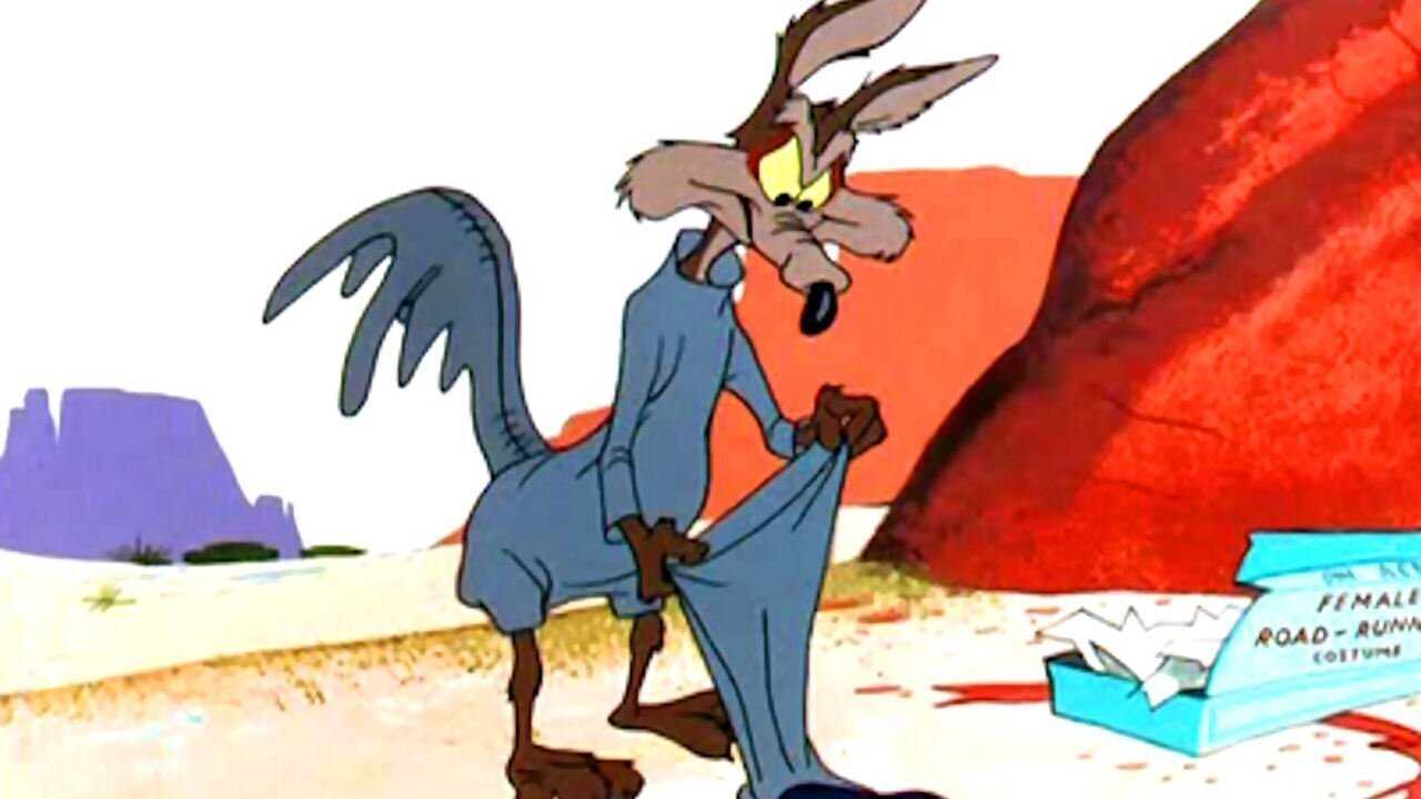 Ready.. Set.. Zoom! 0