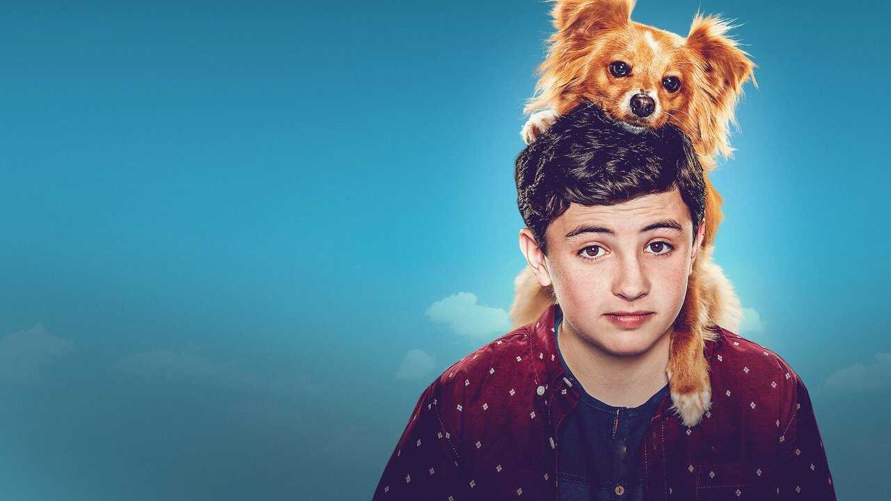 FR - Un ami aux petits soins 0