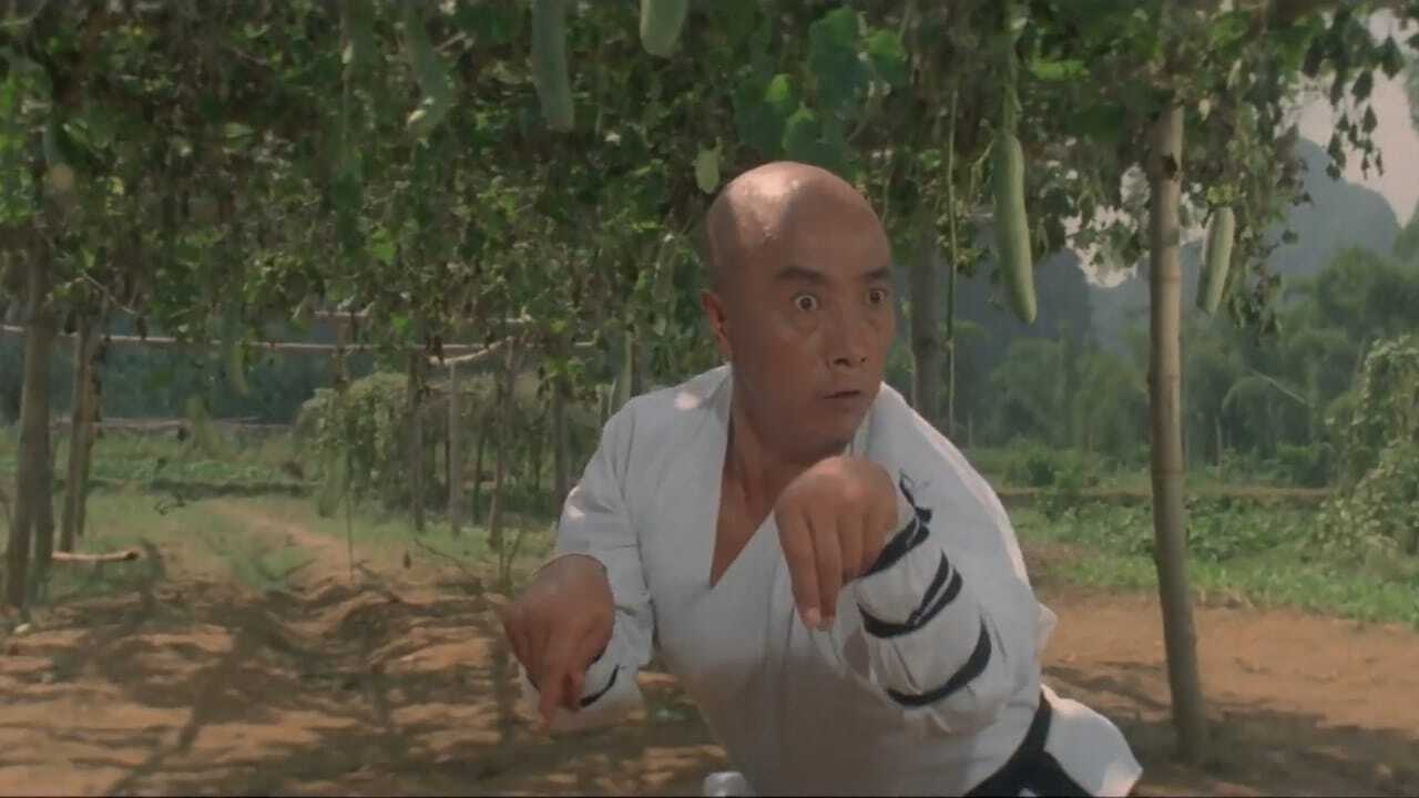 Wojownik z Shaolin (1986) 0