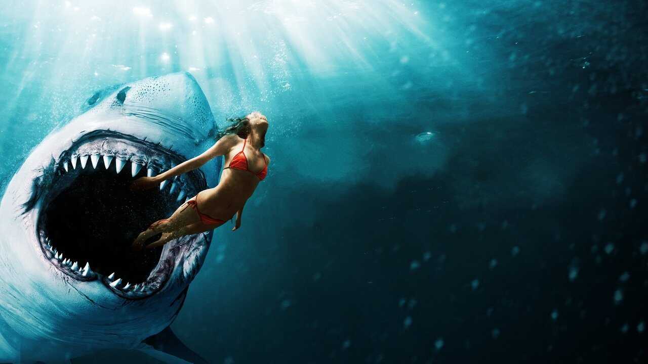 Shark Bait 0