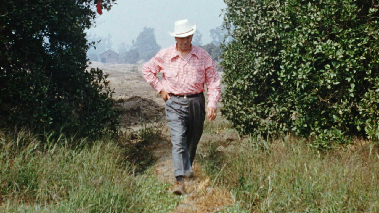 Disneyland Handcrafted 0