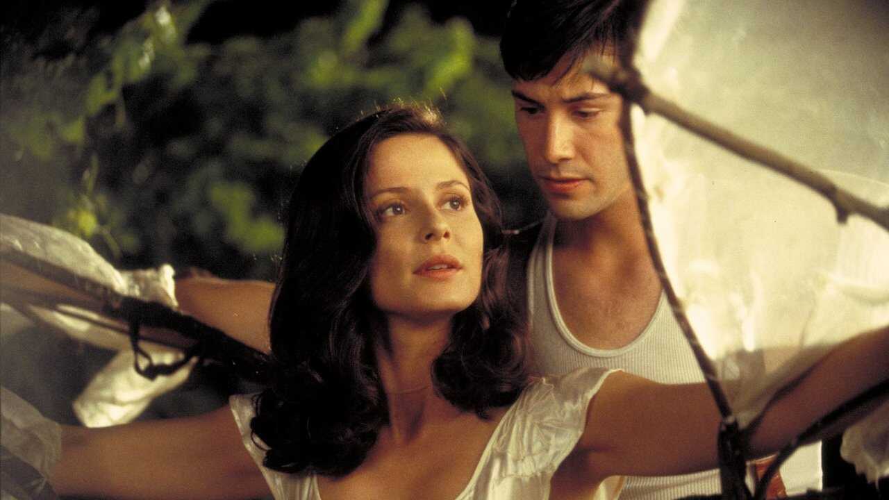 Il profumo del mosto selvatico (1995) 0