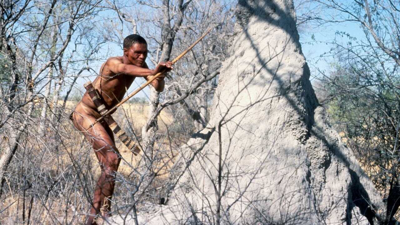 Bogowie muszą być szaleni (1980) 0