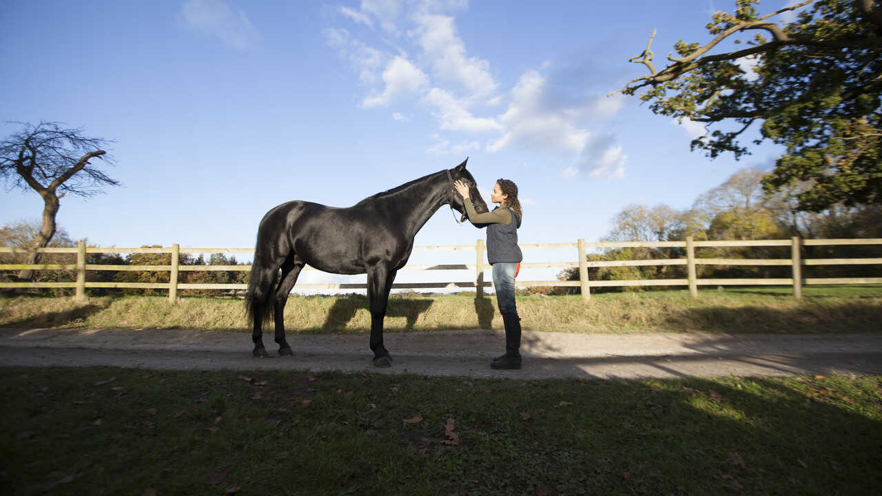 FR -  Zoe et Raven 0