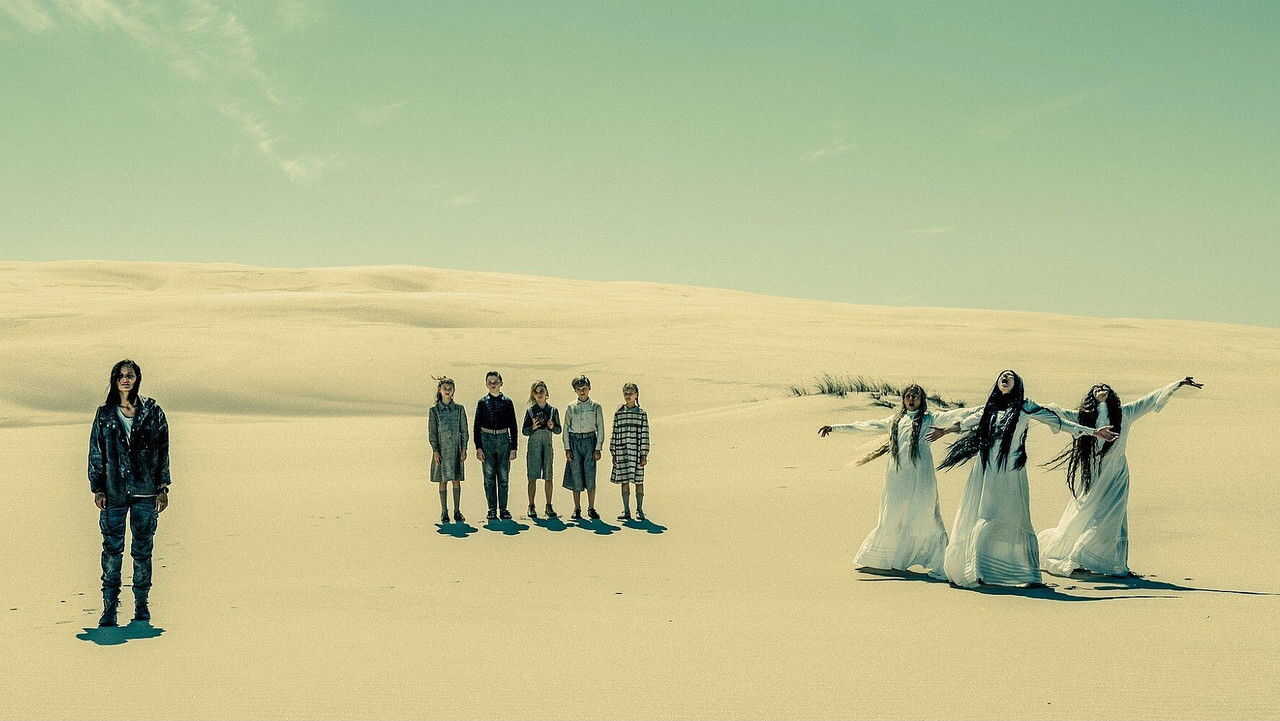 FR - Black Daisies (2025) 1