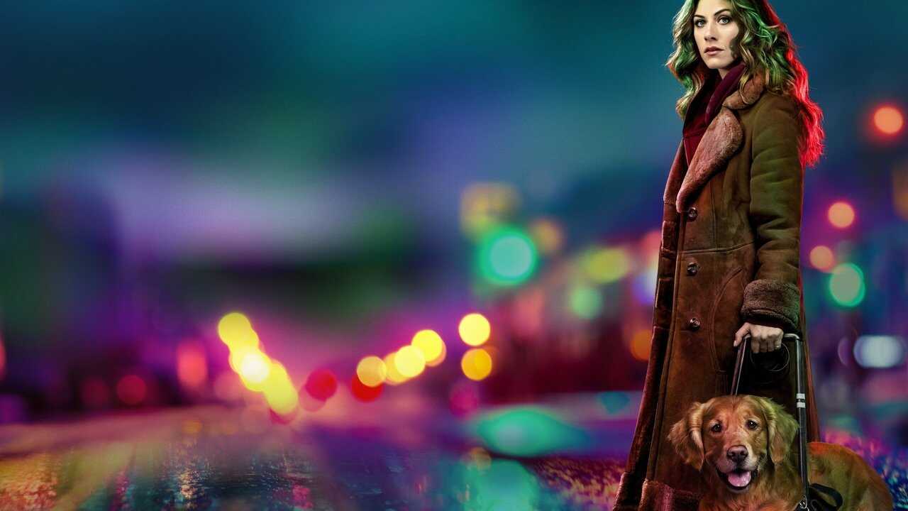 DE - In the Dark (2019) 4