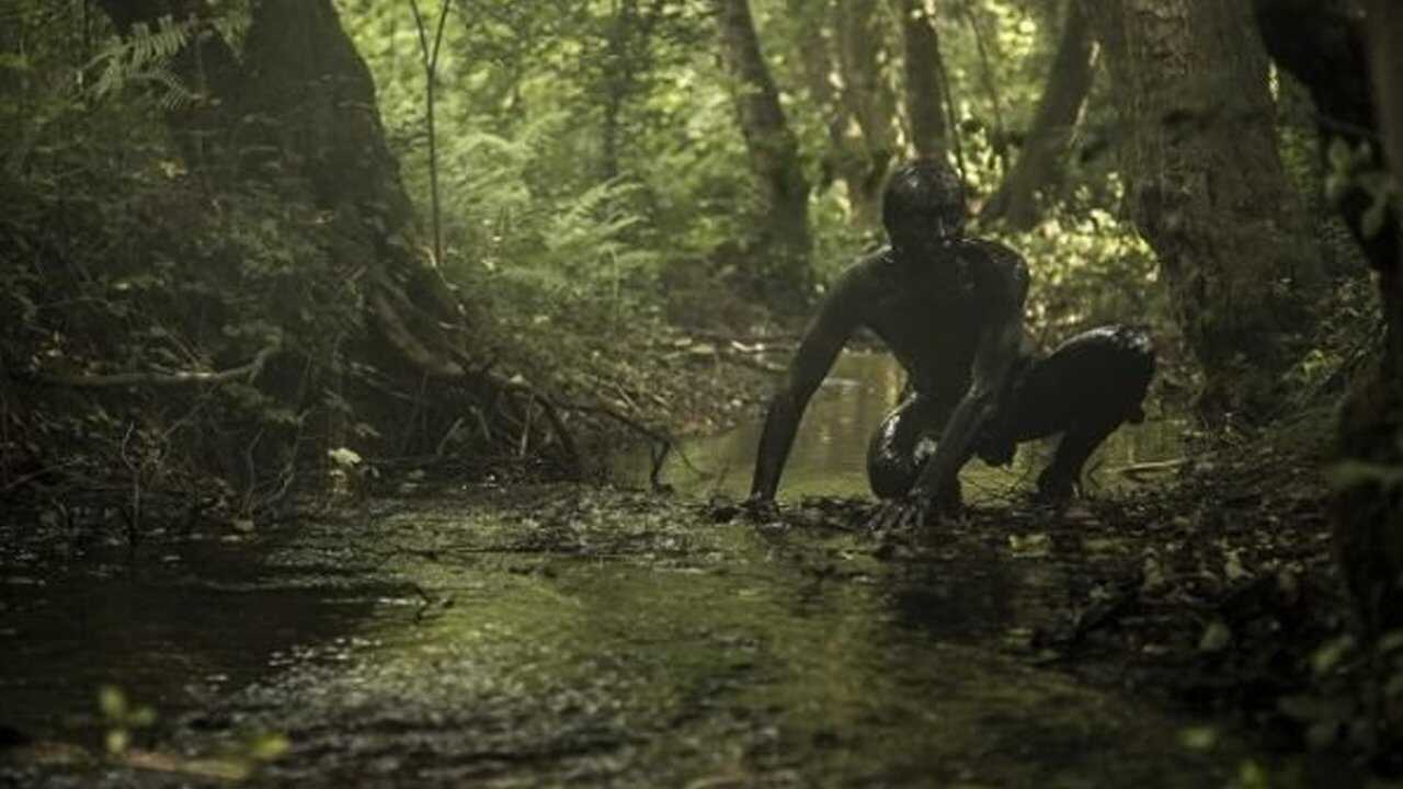 The Book of Vision 0