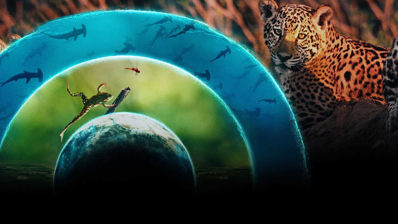 ES - Nuestro mundo lleno de vida 3