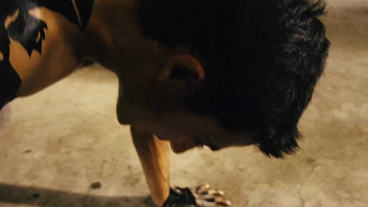 The White Monkey Warrior (2008) 0