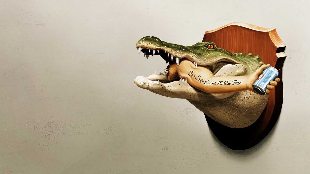 EN - It's Florida, Man. (2024) 3