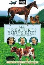 NL - ALL CREATURES GREAT AND SMALL 3