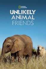 NL - UNLIKELY ANIMAL FRIENDS 3