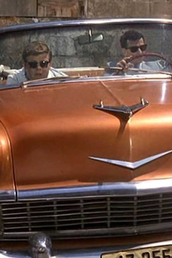 Eis am Stiel 8: Summertime Blues (1988) 0