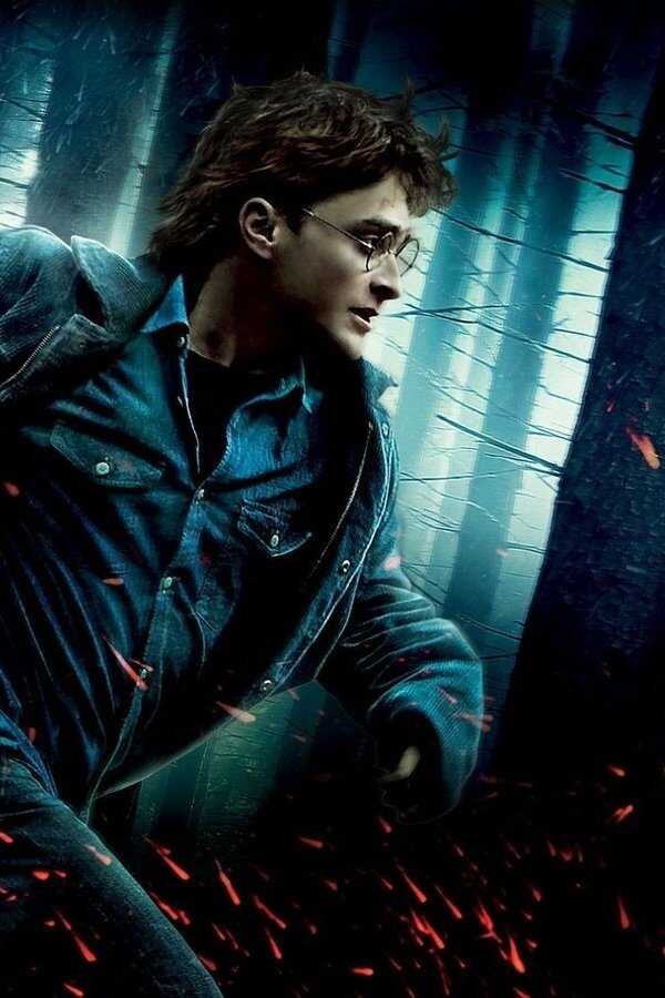 Harry Potter et les Reliques de la mort : 1ère partie (2010) 0