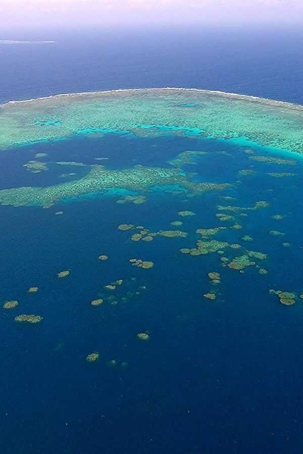 Evolution 4K (2018) 0