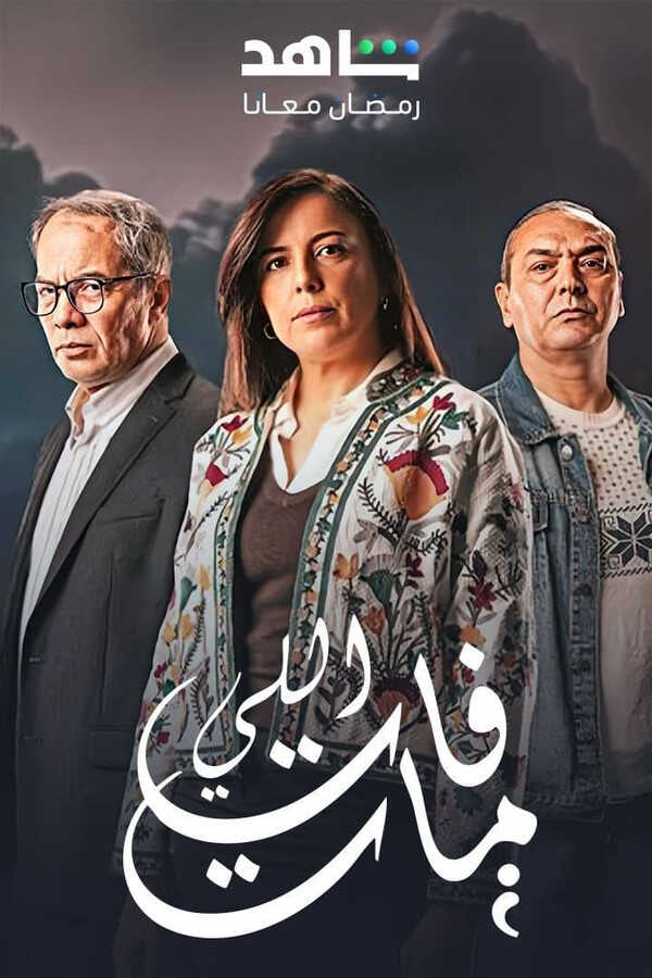 AR - مسلسل اللي فات مات 3