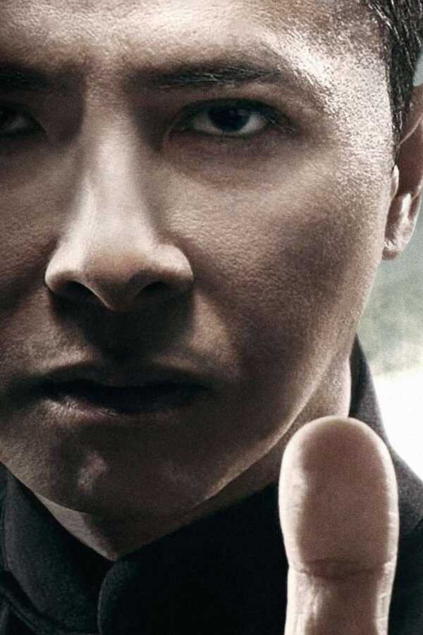 Ip Man 4 : Le Dernier Combat (2019) 0