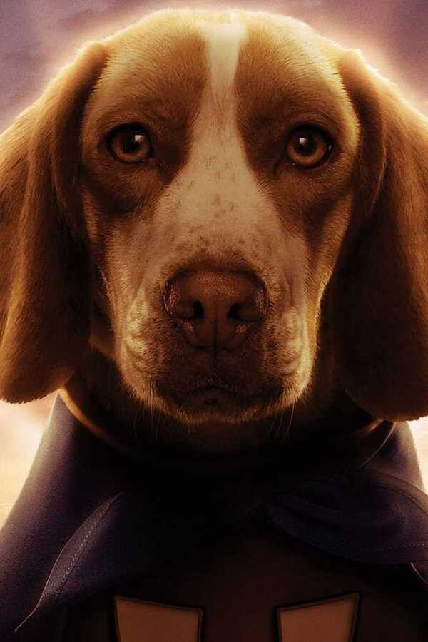 Underdog (2007) 0