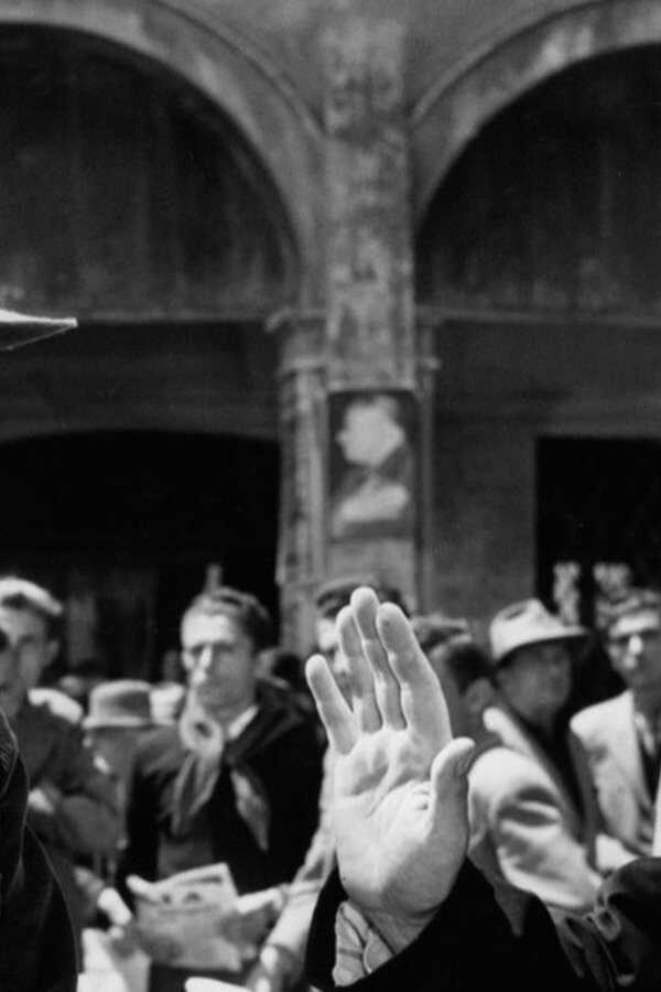 Die große Schlacht des Don Camillo (1955) 0