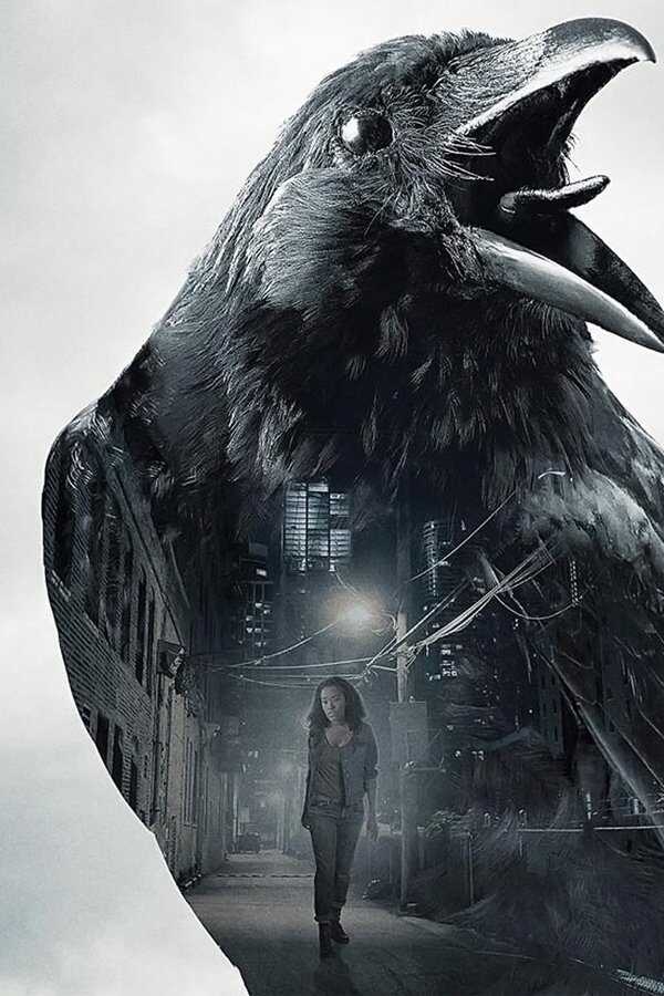 Don't Look Back (2020) 0