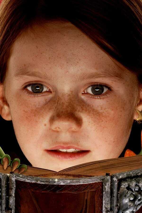Czarodziejka Lili. Smok i magiczna księga (2009) 0