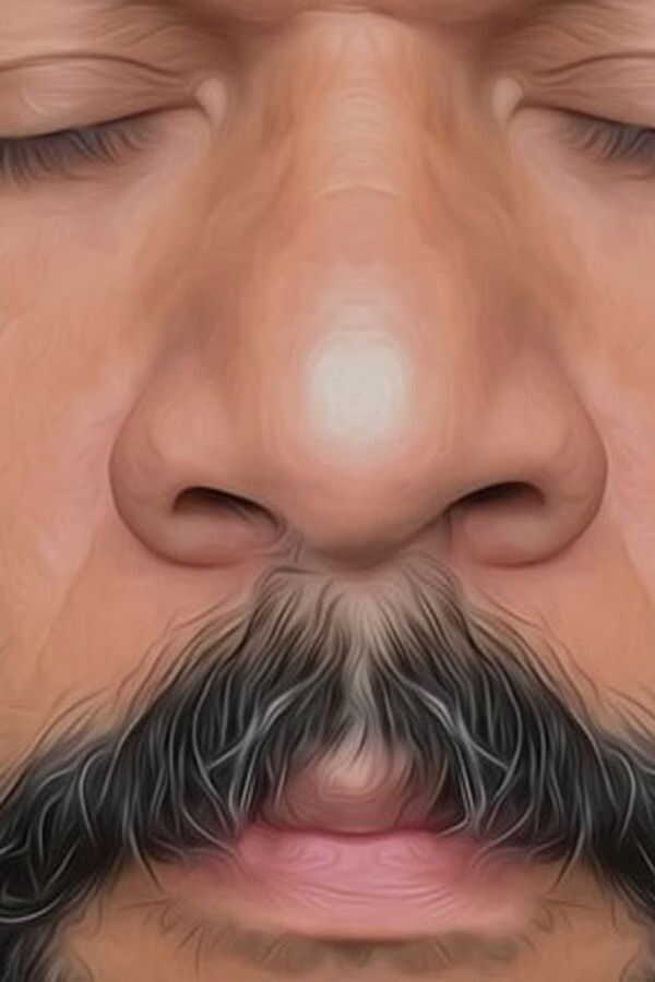 Dieudonné - Les Médias (2016) 0