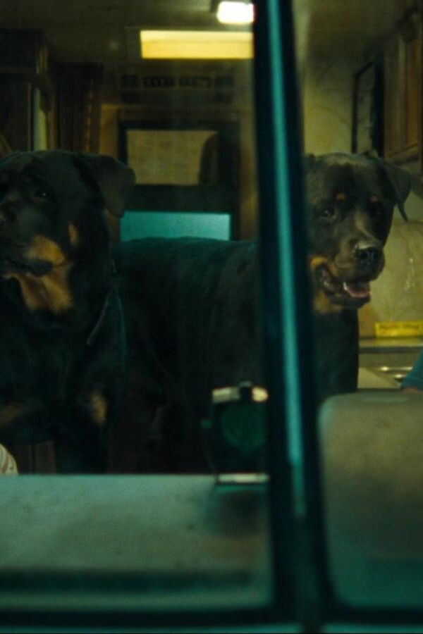 Balls Out: Gary the Tennis Coach (2009) 0