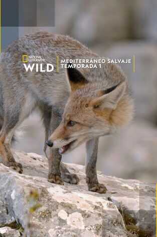 ES - Mediterraneo salvaje 3