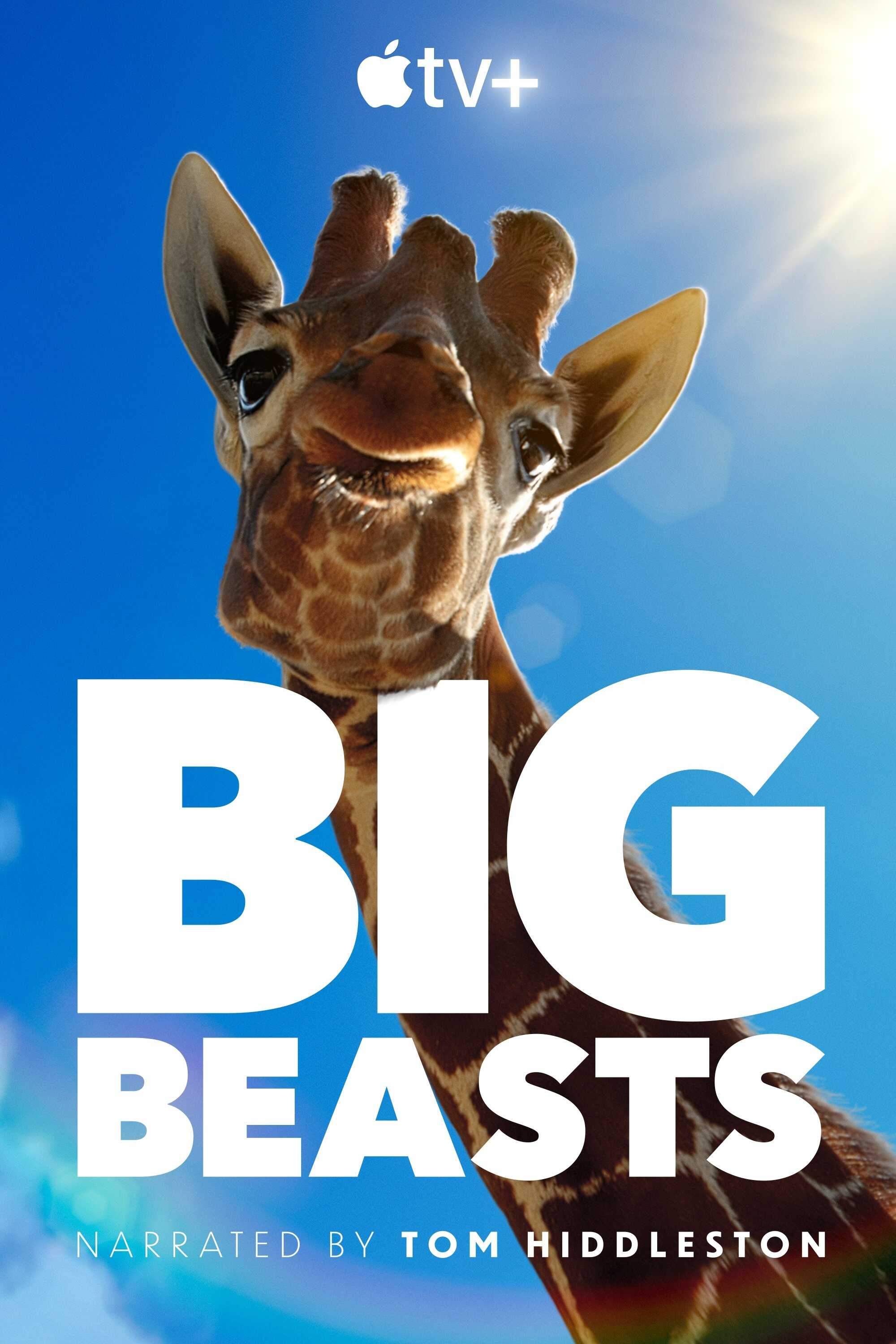 EN - Big Beasts (2023) 3