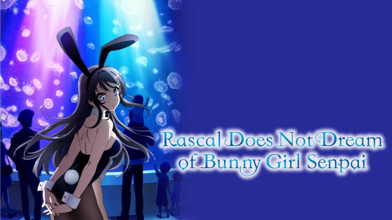 FR - Rascal Does Not Dream of Bunny Girl Senpai (2018) (JP) 1
