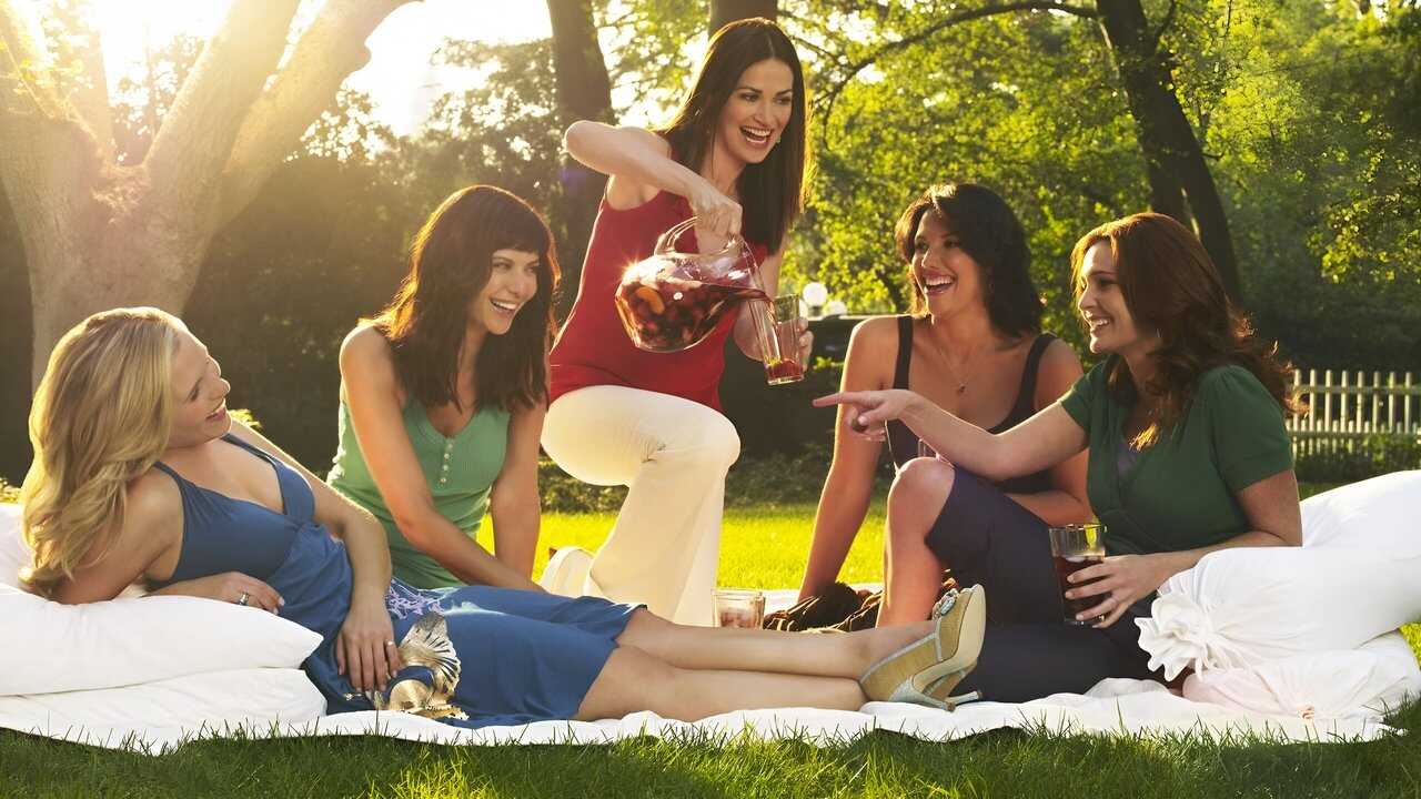 FR - American Wives (2007) 0