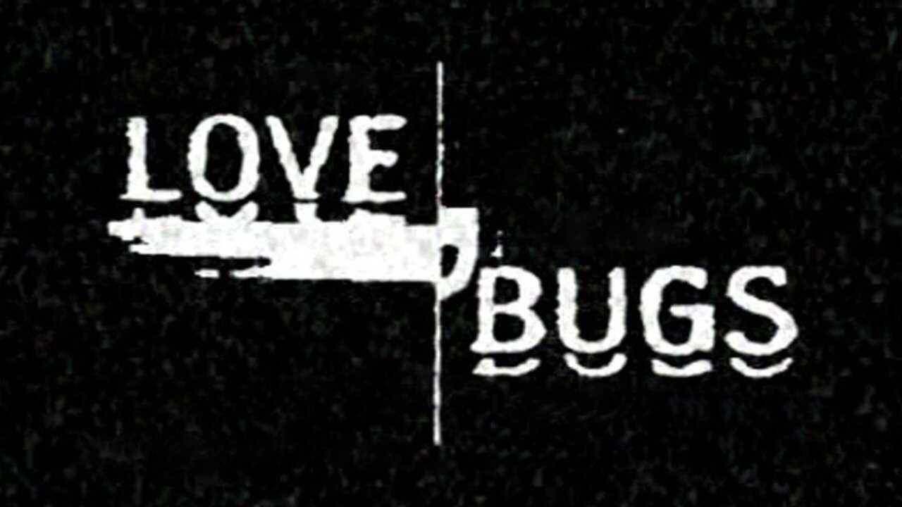 IT - Love Bugs (2004) 0